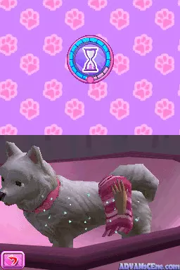 Image n° 3 - screenshots : Barbie - Groom and Glam Pups